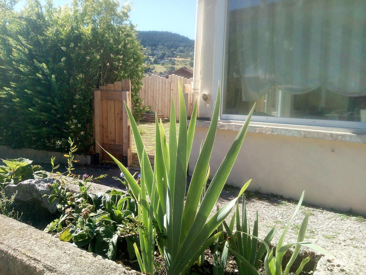 Gite De L'Allee Du Toit Vosgien Avec Terrasse Et Vue Sur La Montagne Gérardmer Exterior foto